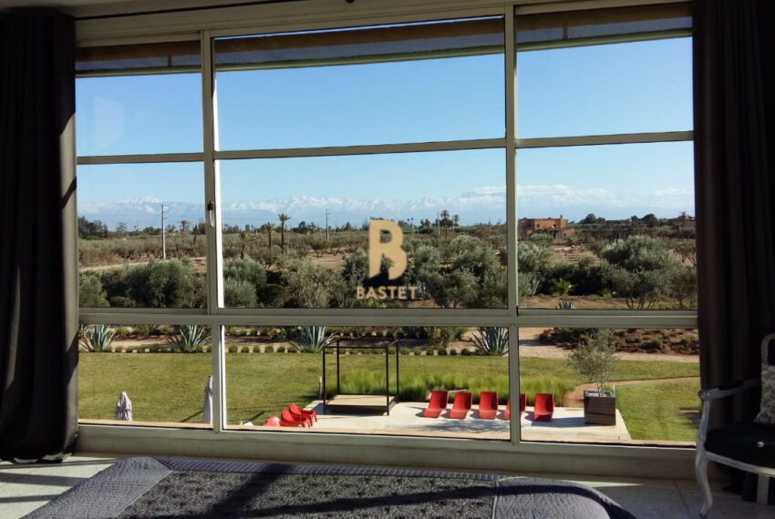 Marrakech professional real estate agent
